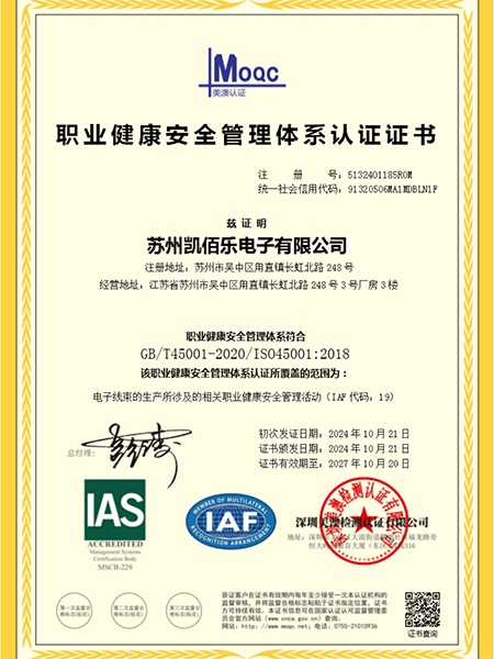 職業健康安全-證書中文