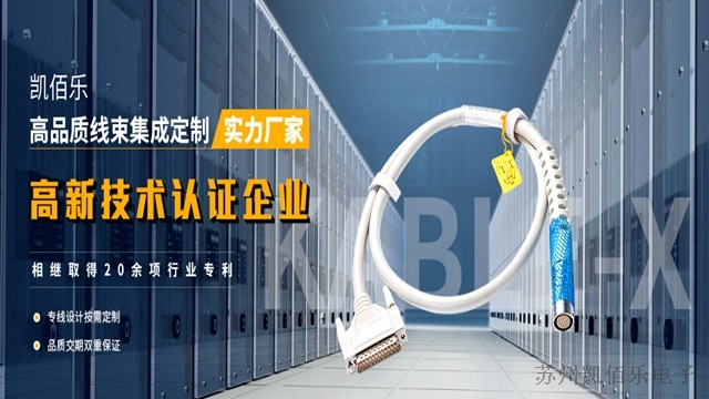 專業從事線束加工